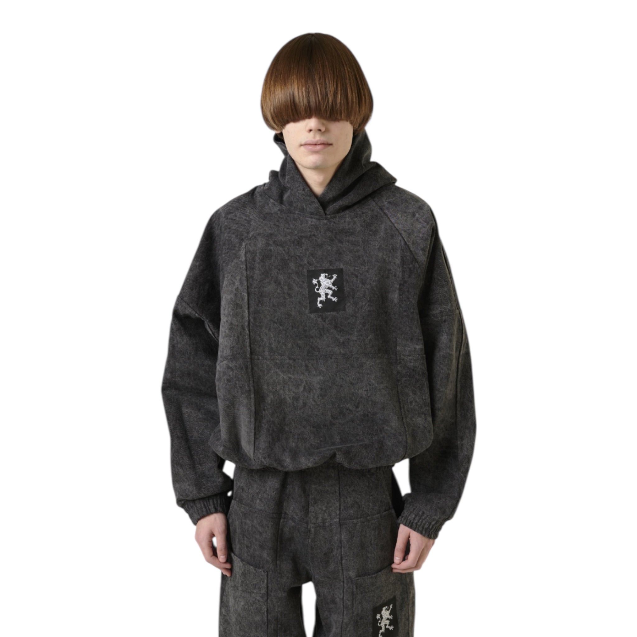 Lion Anti Hoodie - Liberal Youth Ministry