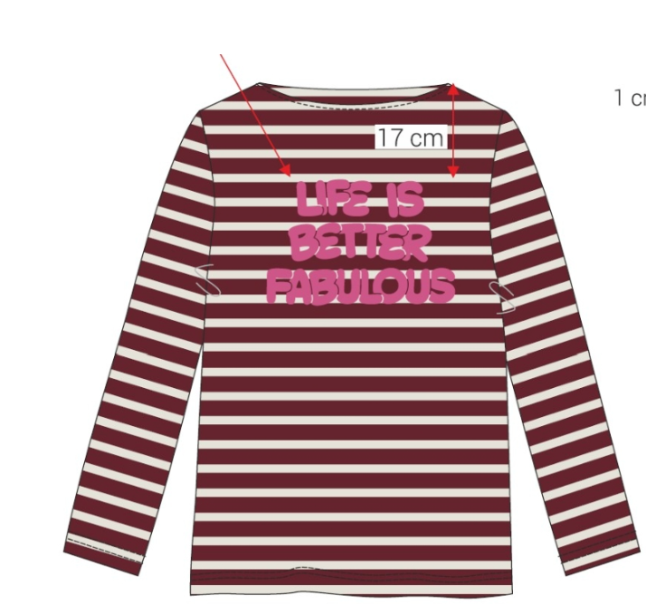 Sweater Ringel  - The Shirt Project